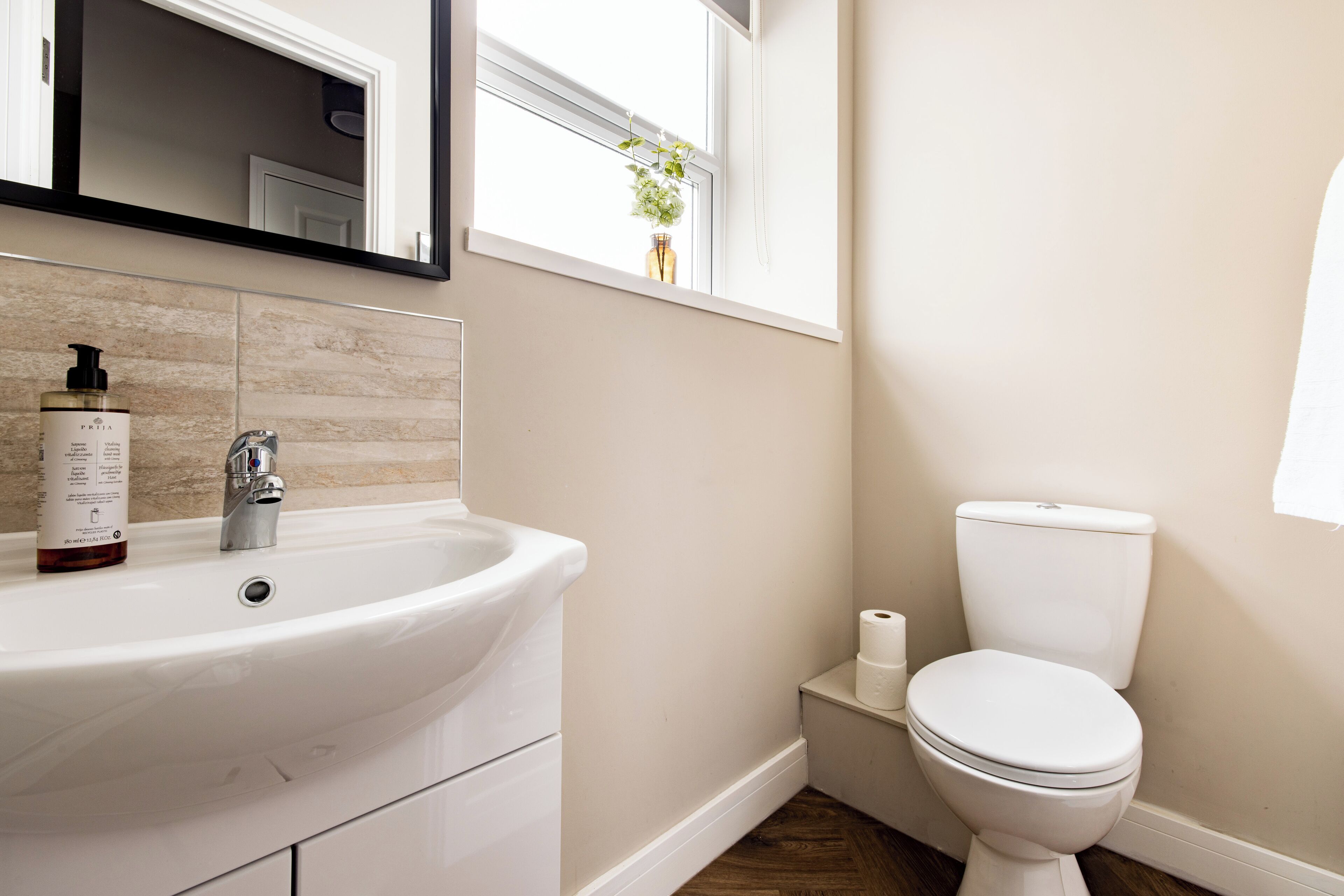 A bathroom with a white sink, a mirror above it, a toilet, and a window with a plant.