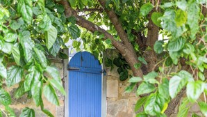A blue wooden door with a metal latch, set in a stone wall with overhanging branches and leaves. - Fabulous 2BR close to the heart of East Fremantle - walk to the river (East Fremantle)