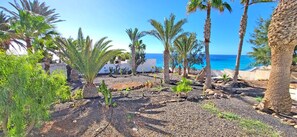 Property grounds - Casa Perrito Gris, Esquinzo, Garten, Meerblick, Strandnah (Esquinzo)