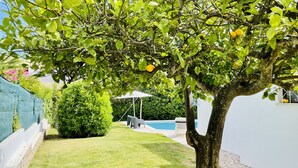 A backyard with a swimming pool, a tree with lemons, and a covered patio area. - Strip by Check-in Portugal (Albufeira)