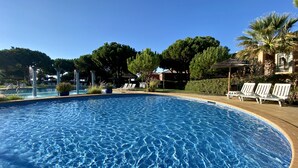 Une piscine à l’eau d’un bleu cristallin, entourée de chaises longues et de plantes en pot.