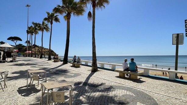 Um calçadão pavimentado com bancos, palmeiras e vista para a praia.