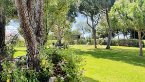Un parc amb zona verda, arbres i jocs infantils.