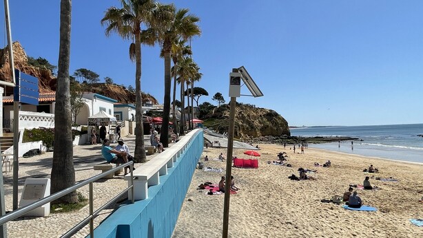 A beach with palm trees, a blue staircase, and people sunbathing. - Medronheira by Check-in Portugal (Albufeira)