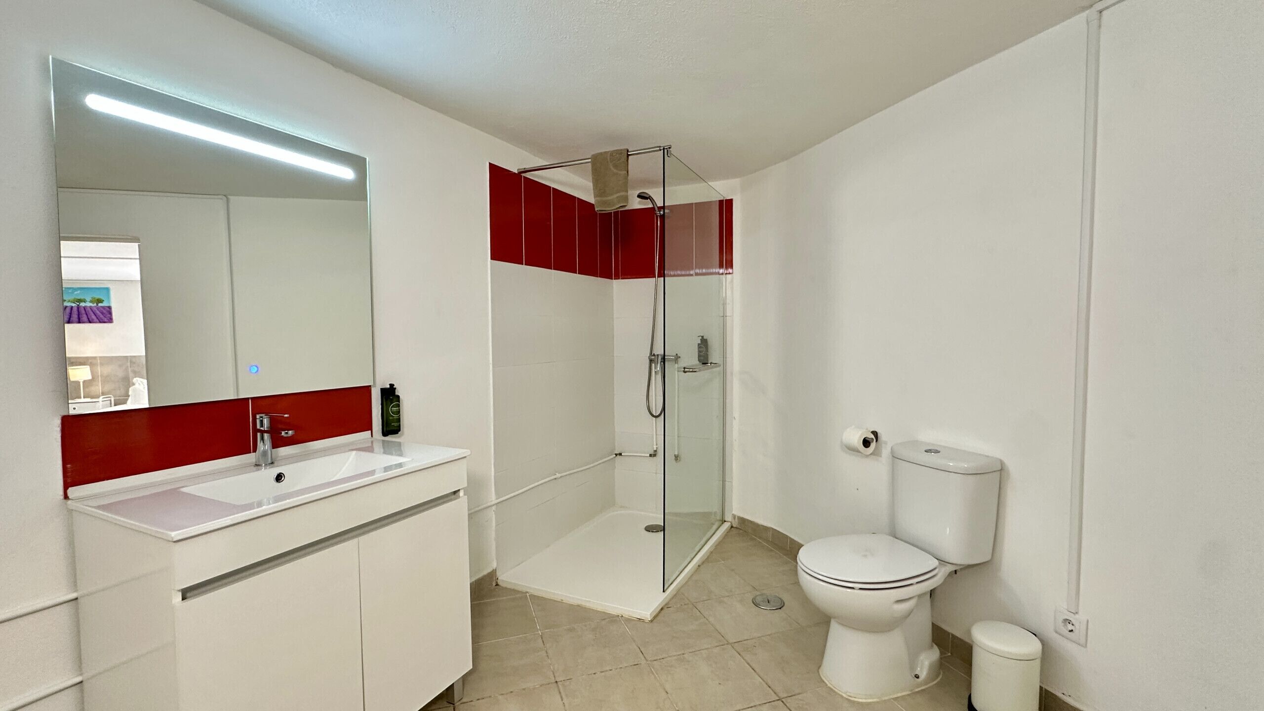 Shower, hair dryer, soap, shampoo