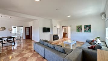 Televisión, chimenea y tenis de mesa