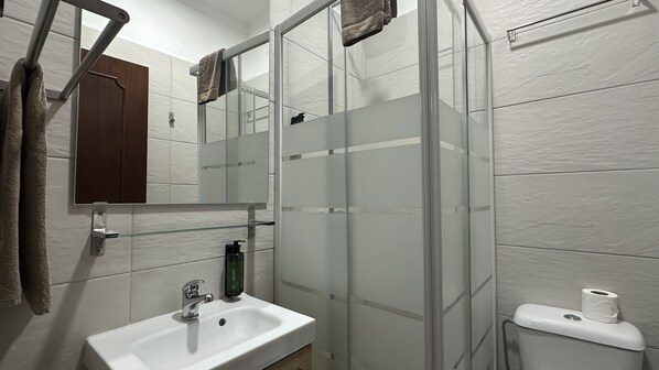 Une salle de bain avec une douche à parois de verre, un lavabo avec un robinet, un miroir et des toilettes avec un rouleau de papier toilette.