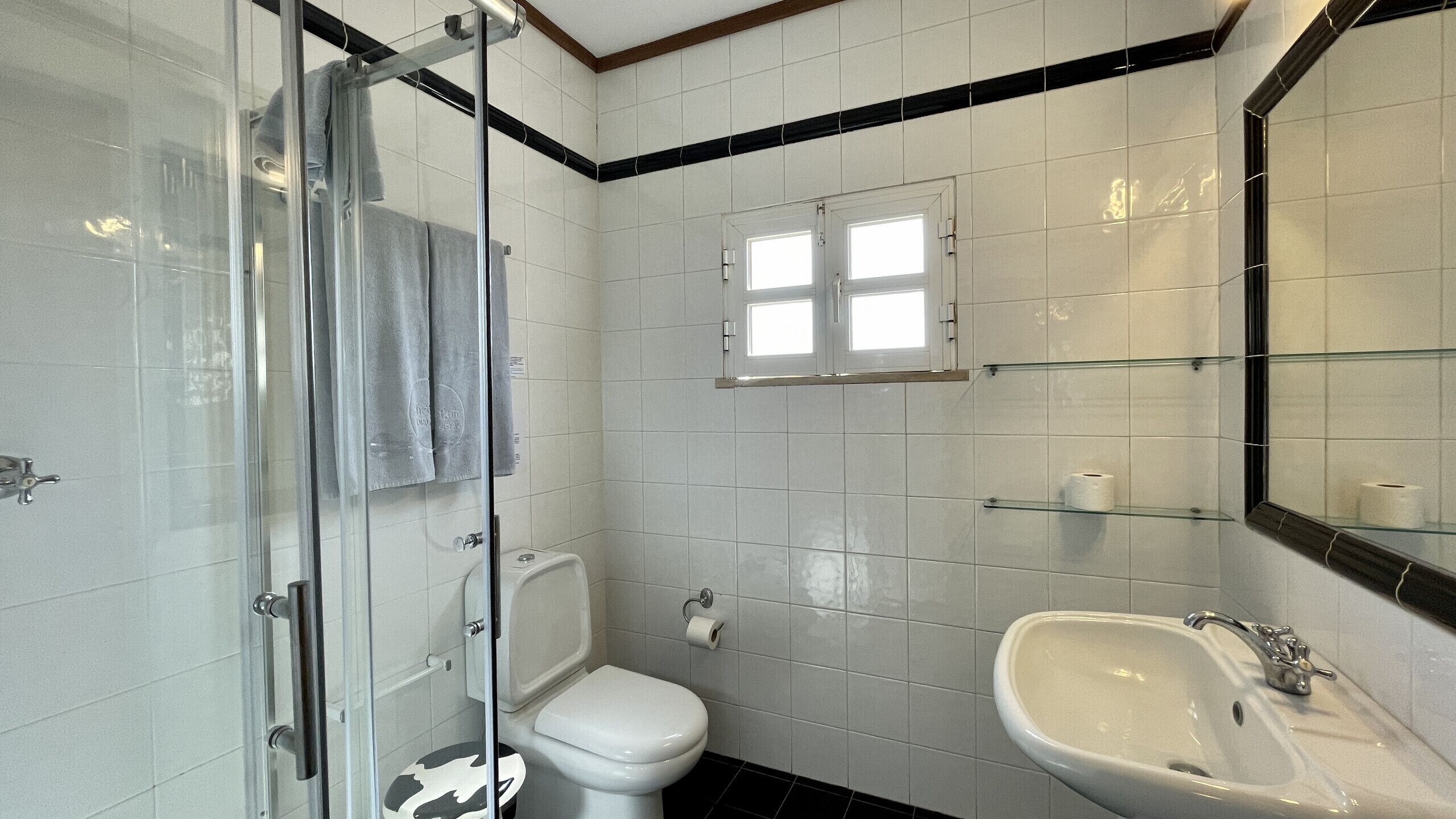 Une salle de bain avec une douche à parois de verre, des toilettes, un lavabo et un miroir.