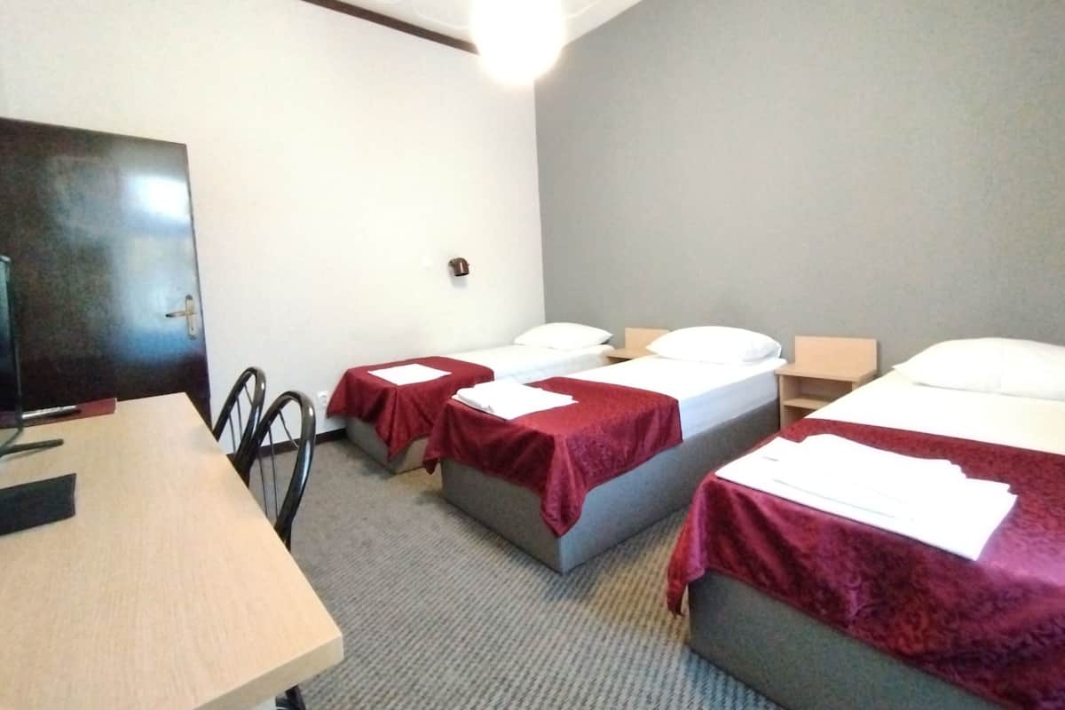 A hotel room with two single beds, a desk, a chair, a TV, and a lamp.