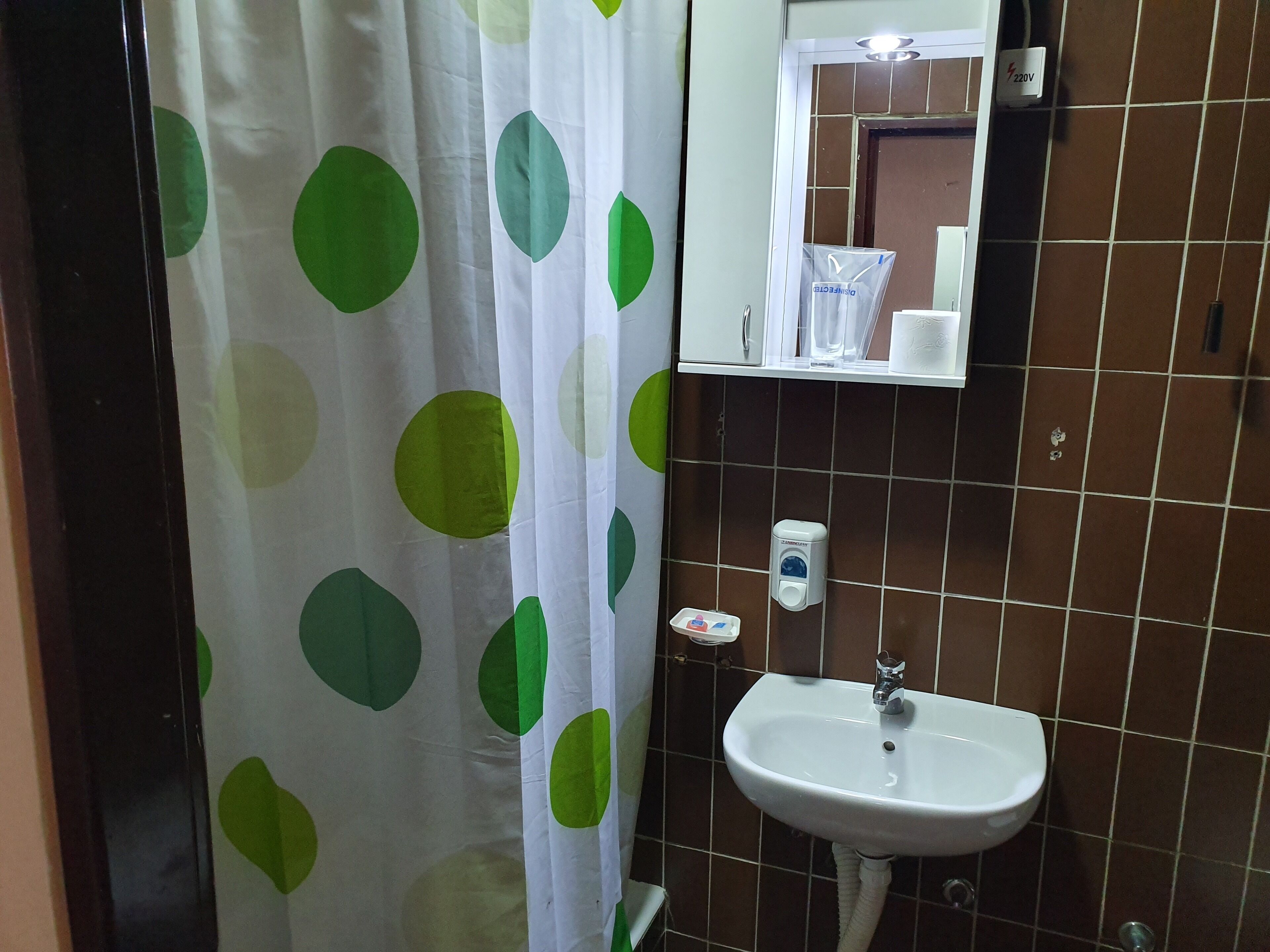 A bathroom with a white sink, a mirror, a soap dispenser, and a shower curtain with green leaf patterns.