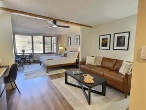 TV, offices - Beautifully Renovated! Studio near Resort,Pool,Hot Tub (Crested Butte)