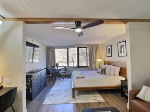 1 bedroom, iron/ironing board, WiFi, bed sheets - Beautifully Renovated! Studio near Resort,Pool,Hot Tub (Crested Butte)
