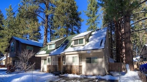 Uma casa de dois andares com telhado verde, cercada por neve e altas árvores de pinheiro.