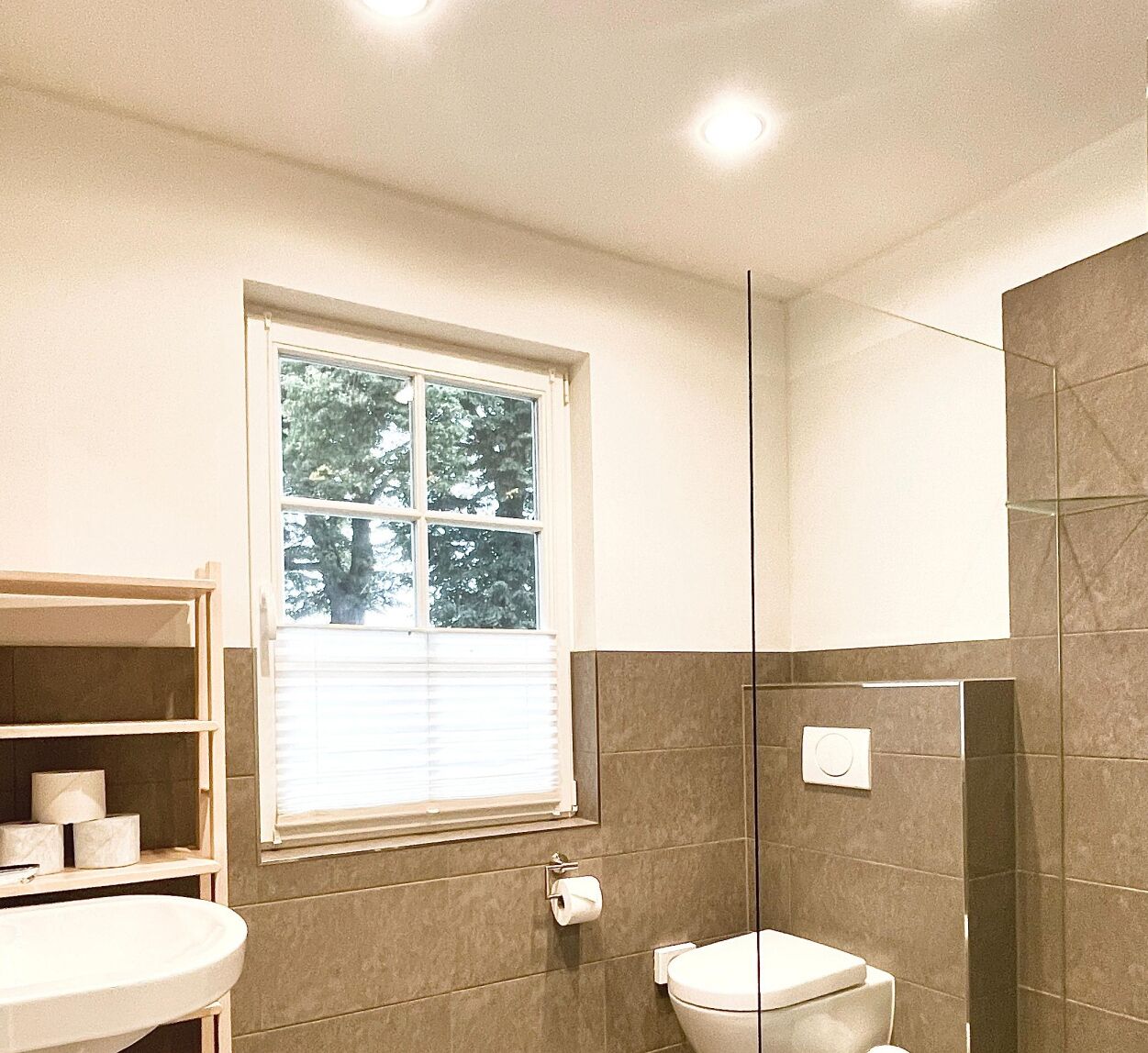 Hair dryer, towels, shampoo, toilet paper