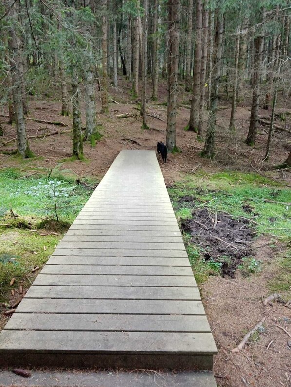 Property grounds - Les Chambres de Solol : Chambre Evasion (FELINES)