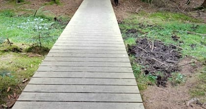 Les chambres de Solol : Chambre Evasion