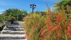 Property grounds - A Slice of Paradise, Spectacular Mountain Views, 1.8 Km to Samara beach (Sámara)