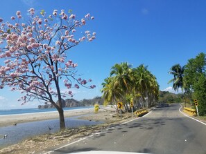 Beach - A Slice of Paradise, Spectacular Mountain Views, 1.8 Km to Samara beach (Sámara)