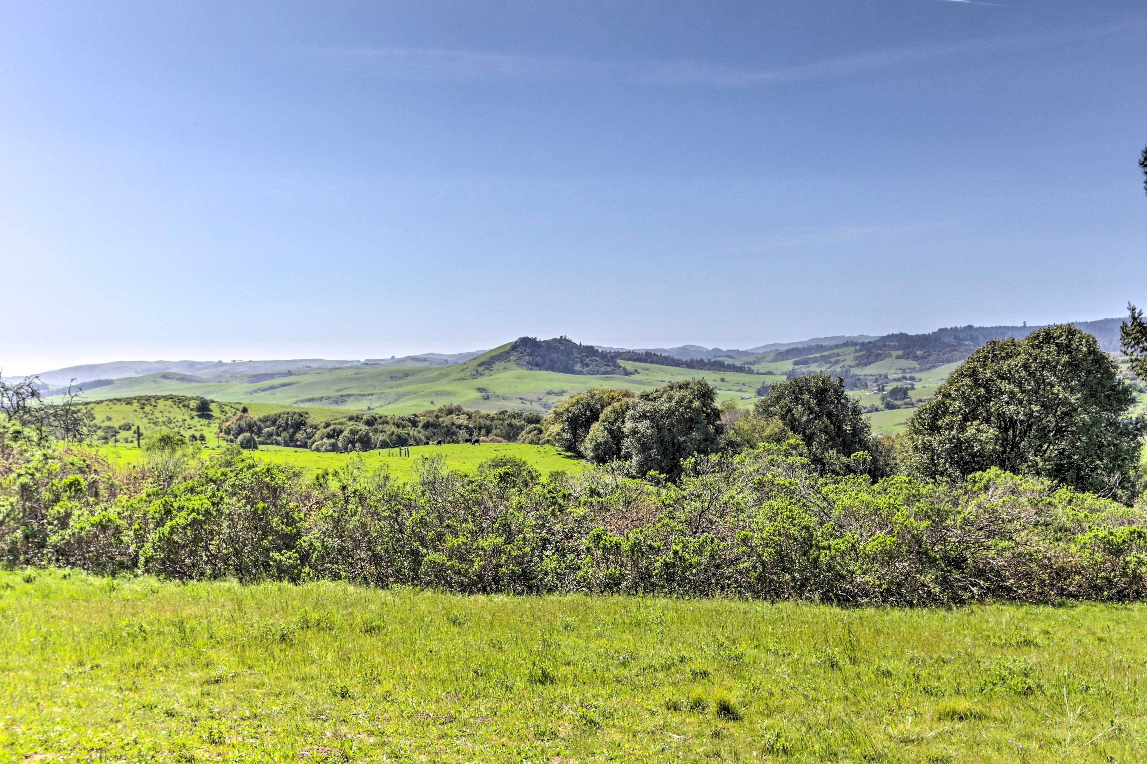 A panoramic view of rolling green hills and a distant hilltop structure.