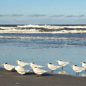 House (2 Bedrooms) | Interior - Spacious Home w/ Yard: ½ Mi to Ormond Beach! (Ormond Beach)