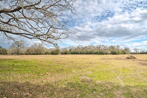 House (2 Bedrooms) | Interior - Rustic Rockdale Home on 100 Acres: Near City Park! (Rockdale)