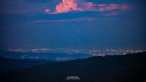 Immagine non classificata, 2 di 13, pulsante