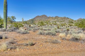 Apartment (0 Bedroom) | Interior - El Encanto at Full Circle Ranch w/ Patio! (Cave Creek)
