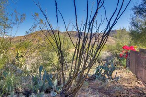 Interior - El Encanto at Full Circle Ranch w/ Patio! (Cave Creek)