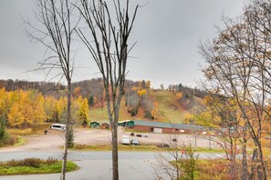 House (3 Bedrooms) | Interior - Outdoor Lover's Paradise: Slopeslide Cabin! (Iron River)