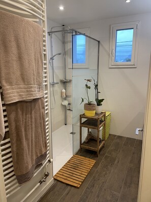 Dusche, Haartrockner, Handtücher