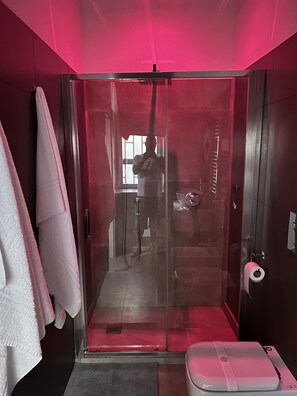 Dusche, Haartrockner, Bidet, Handtücher