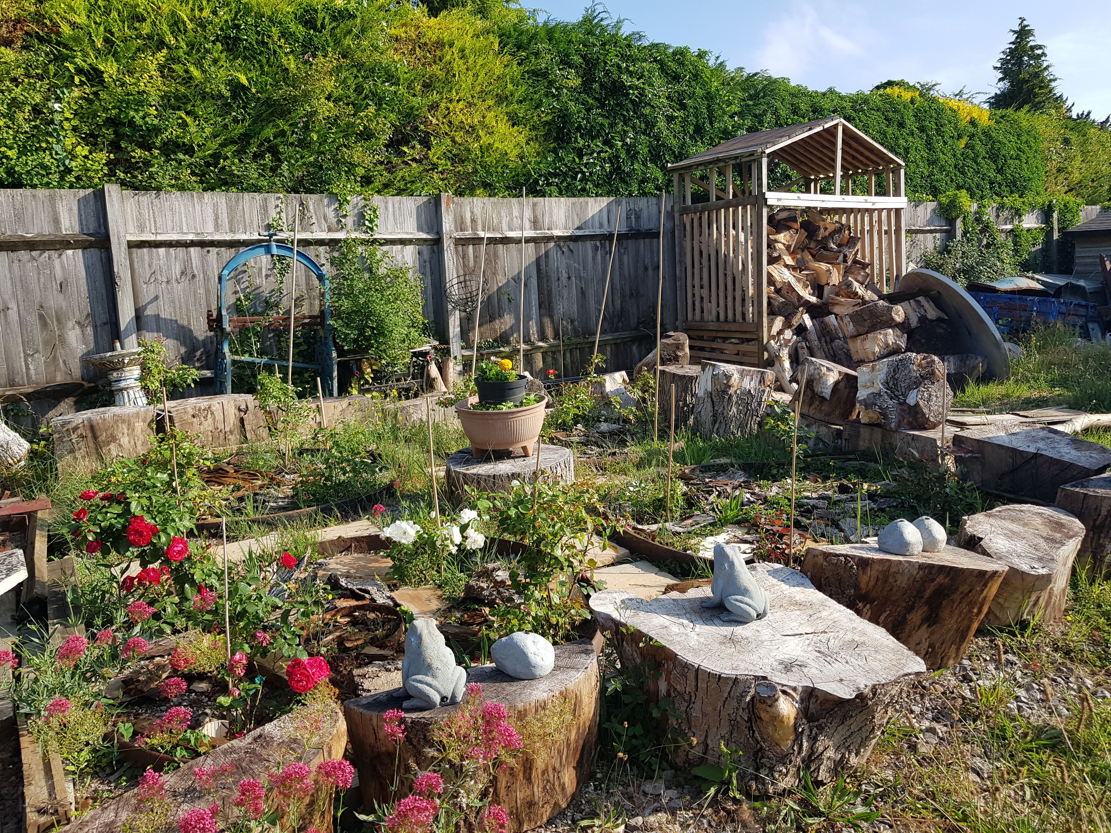 A garden with various plants, a wooden structure, and a bird feeder.