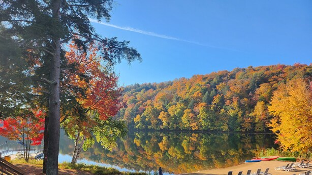 Un parc au bord du lac, doté d’une aire de pique-nique, de bancs et offrant une vue dégagée sur le lac, lequel est entouré d’arbres aux couleurs automnales.