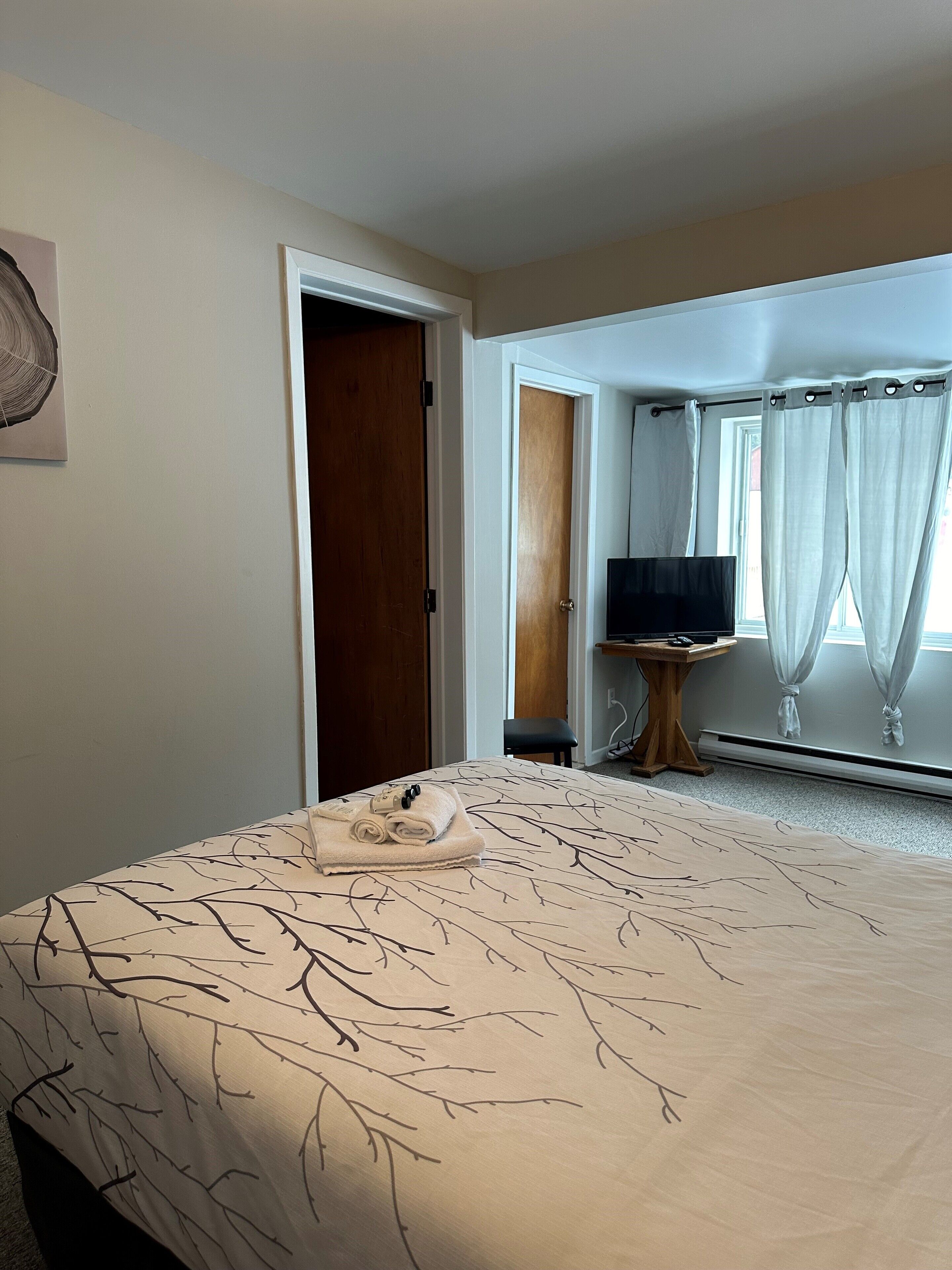 A bedroom with a bed, a wooden door, a small table, a TV, and a window with curtains.