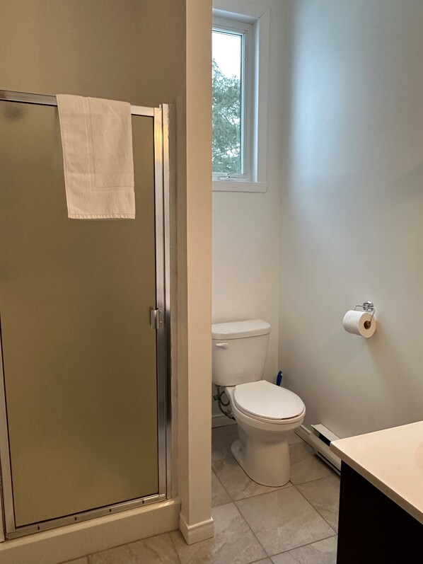 A bathroom with a toilet, a shower with a glass door, and a window providing natural light. - Auberge Morritt (Mont-Tremblant)