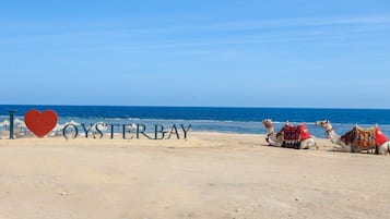 Una playa con el texto "I ♥ OYSTER BAY" y camellos sobre la arena.