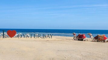 Una playa con el texto "I ♥ OYSTER BAY" y camellos sobre la arena.