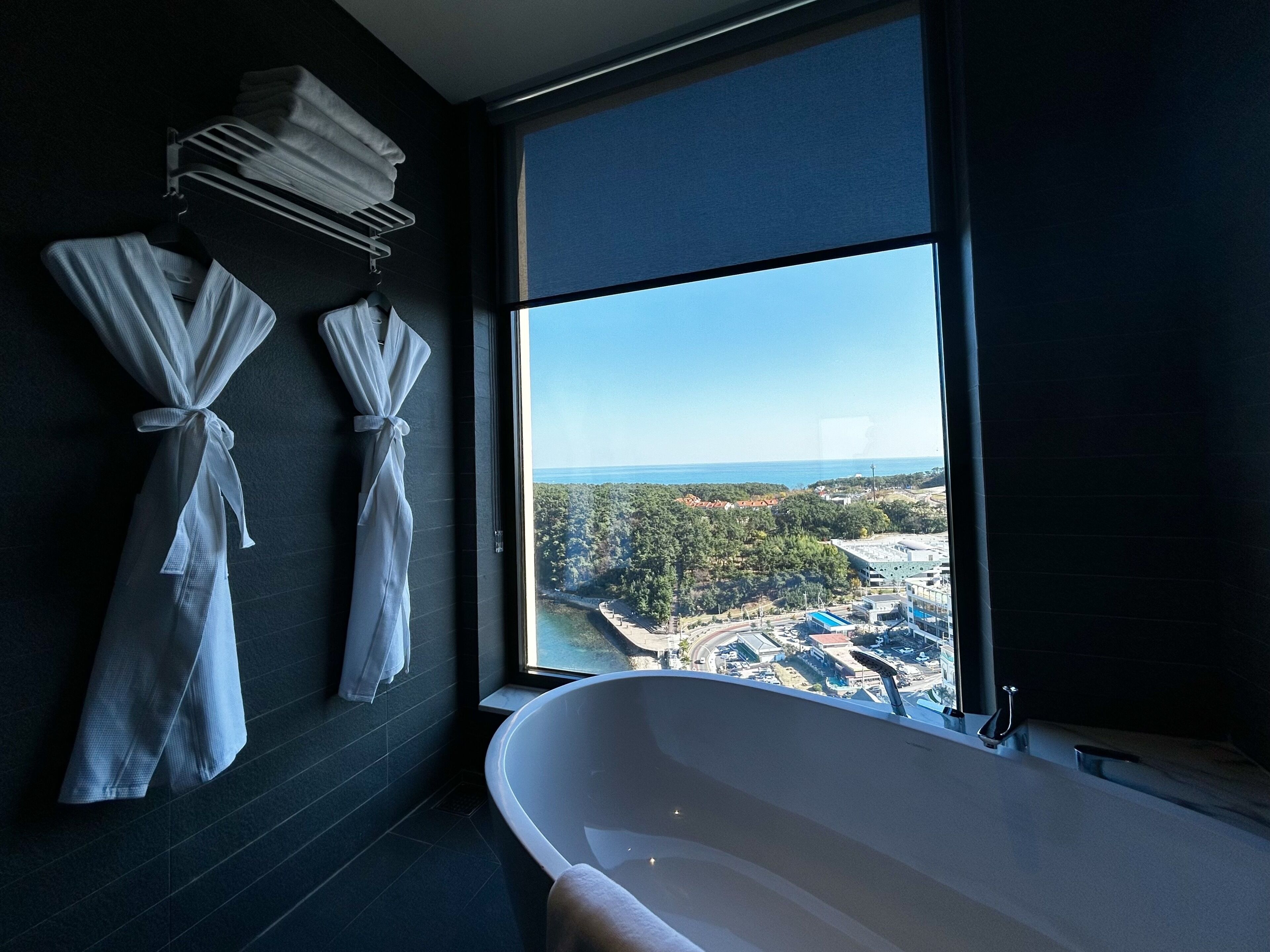 A modern bathroom with a large bathtub, two towels hanging on a rack, and a view of a coastal landscape through a large window.