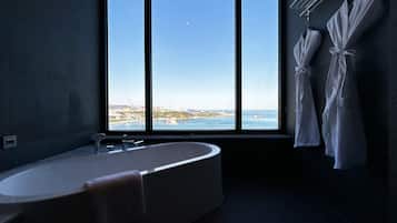 Barrier free room | Bathroom | Hair dryer, slippers, towels, shampoo