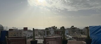 Dinosaur Anza Surf House