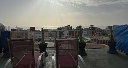 Dinosaur Anza Surf House