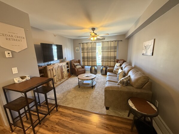 Televisor, videojocs i llibres 