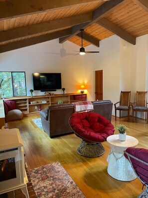 Smart TV, tavolo da ping pong, libri, impianto stereo