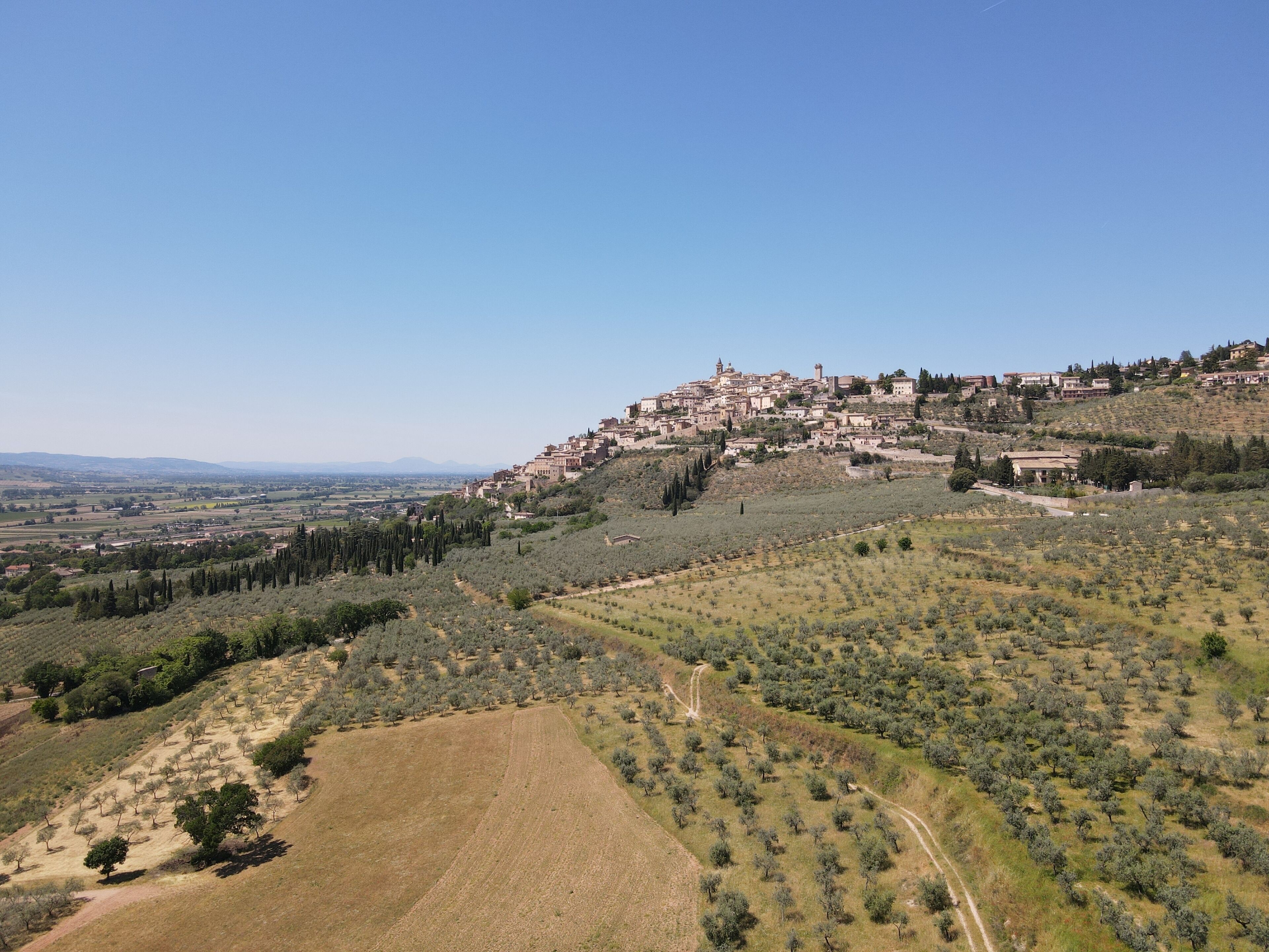 Un pueblo en una ladera con edificios escalonados, olivares y cielo despejado.