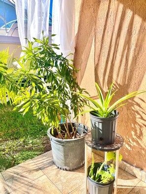 Property grounds - Home away from Home in Miami (Miami)