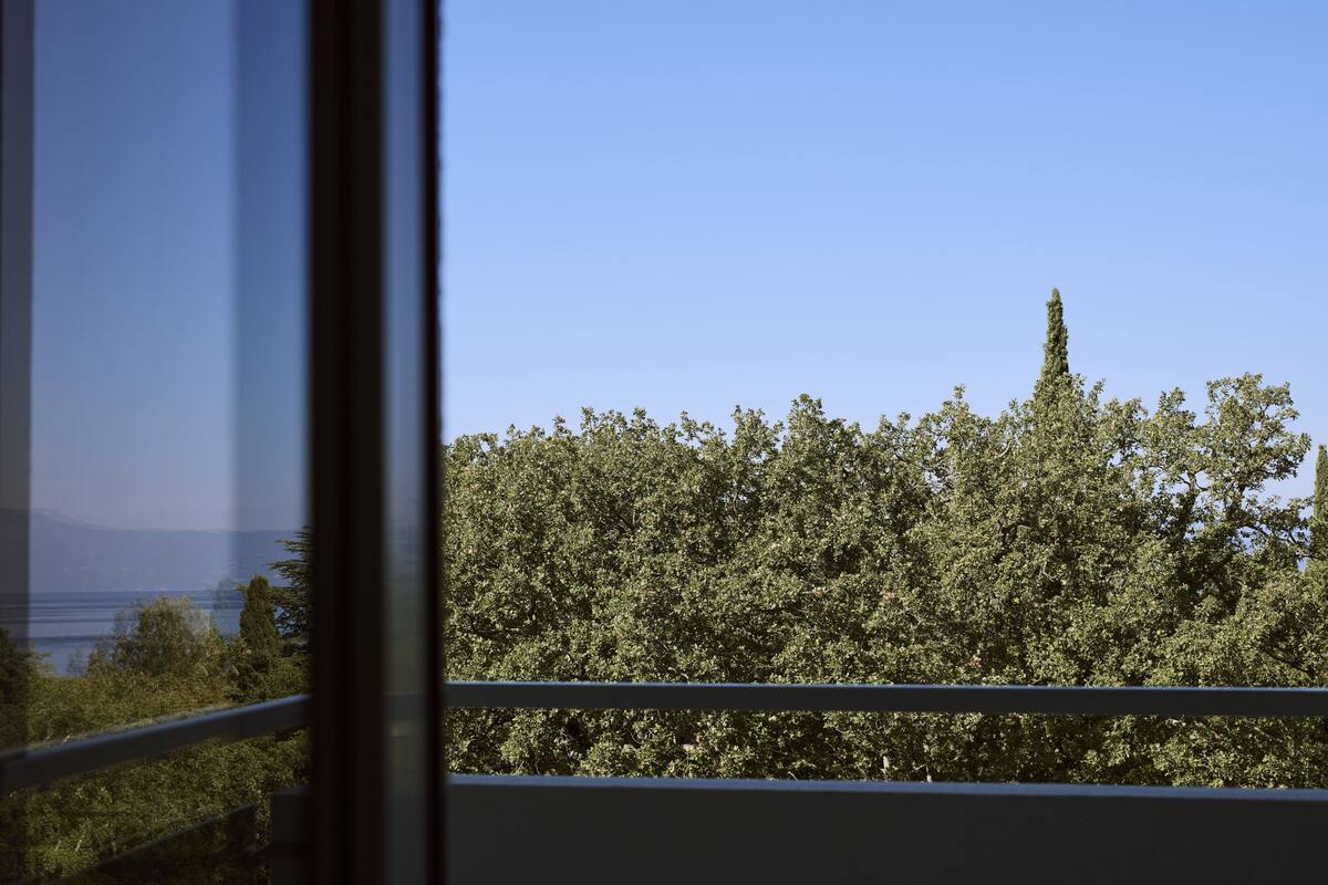 Blick durch ein Fenster mit Balkongeländer auf eine dichte Baumreihe und ein Gewässer in der Ferne.