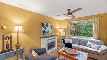 TV connectée, cheminée, livres, médiathÚque