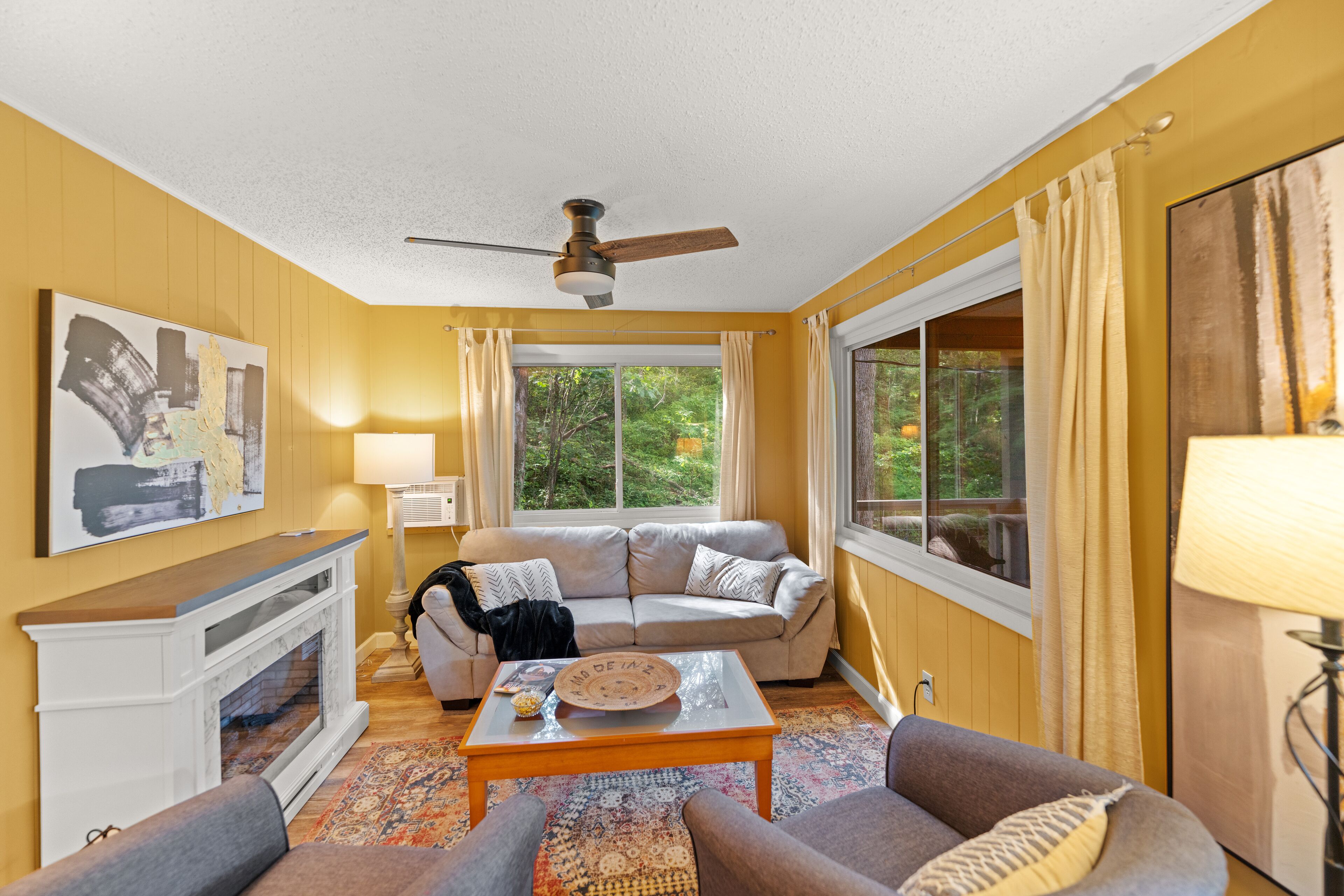 TV connectée, cheminée, livres, médiathèque