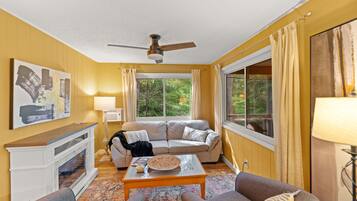 TV connectée, cheminée, livres, médiathÚque