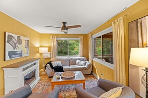 Smart TV, fireplace, books, music library